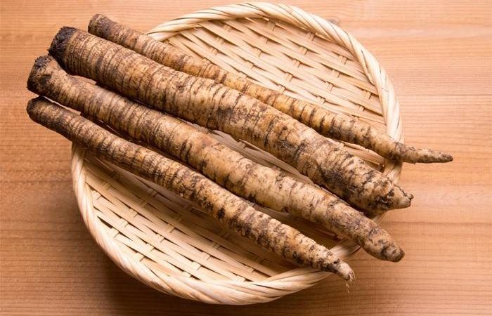 Властивості кореня лопуха — користь і шкода, відгуки. Які властивості кореня лопуха застосовуються в народній медицині