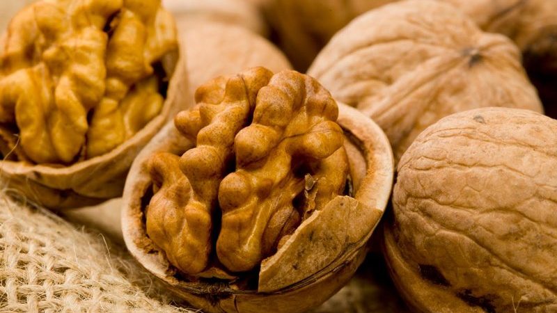 Волоський горіх – користь, застосування, рецепти