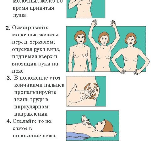 Які бувають перші ознаки вагітності до місячних?