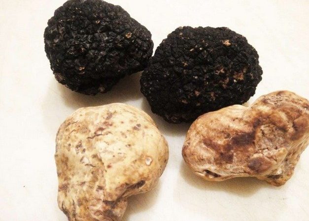 Як готувати трюфель: куди додають, з чим і як їдять, кращі рецепти приготування