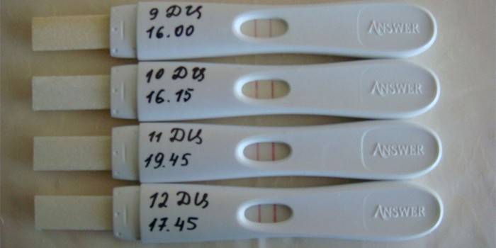 Як користуватися тестом на овуляцію — що показує і огляд засобів для експрес-аналізу з цінами