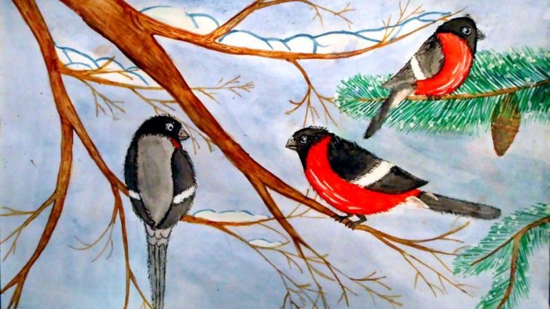 Як намалювати снігура олівцем поетапно для дітей і початківців? Як намалювати снігура на гілці олівцем і фарбами?