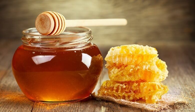 Як і навіщо бджоли роблять мед: коротка інформація для дітей. Як і навіщо бджоли приносять мед у вулик? Бджолина сім'я: склад