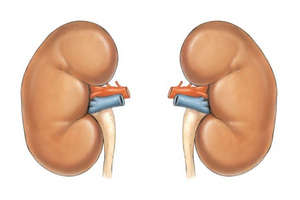 Як правильно приймати Флемоклав Солютаб дітям (таблиця дозування)
