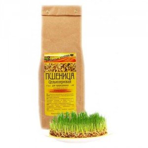 Як проростити пшеницю. Як вживати пророщену пшеницю, рецепти