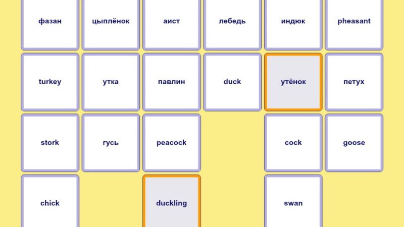 Як швидко і просто вивчити слова з англійської мови? Як запам'ятовувати англійські слова назавжди: краща техніка і розбір помилок