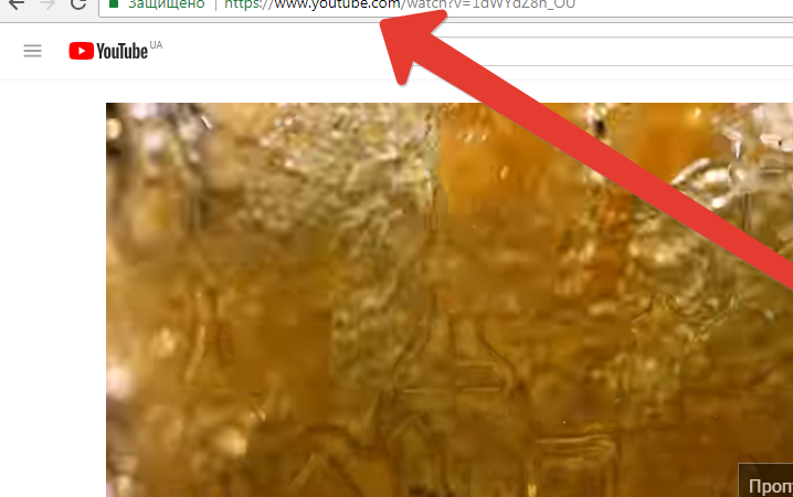 Як скачати відео з Ютуба на комп'ютер і телефон: покрокова інструкція, фото, посилання на онлайн-сервіси