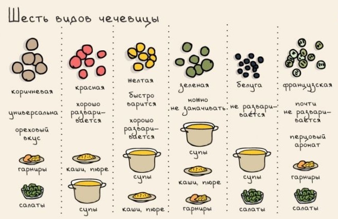 Як смачно і правильно приготувати сочевицю на гарнір, пюре? Як смачно з сочевиці зварити кашу в мультиварці: рецепт
