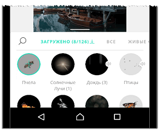 Як створити і викласти живе фото для Инстаграма через телефон та ПК