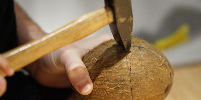 Як відкрити кокос правильно в домашніх умовах: інструкція з відео Як відкрити кокос правильно в домашніх умовах: інструкція з відео