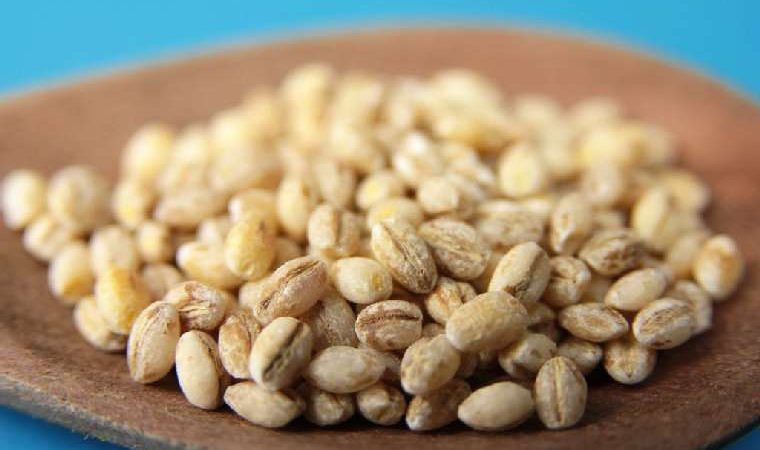 Як відрізнити перловку від пшениці за зовнішніми ознаками: особливості