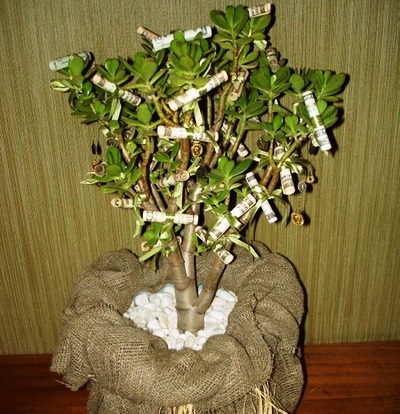 Як зробити грошове дерево своїми руками з купюр і монет: покрокова інструкція. Грошове дерево – топіари, з бісеру