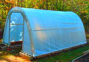 Як зробити парник для розсади своїми руками?