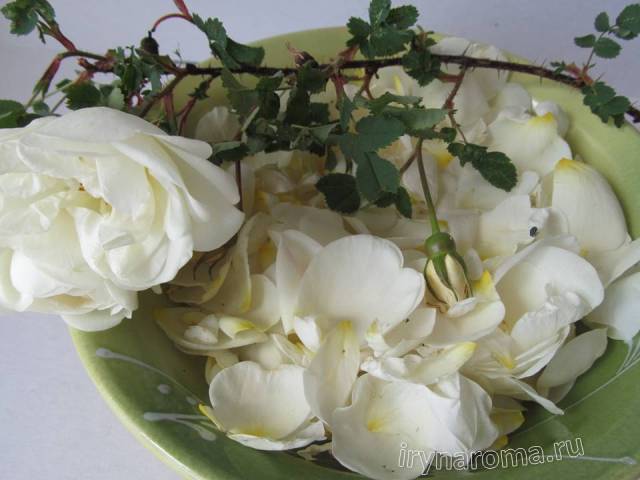 Як зробити рожеве масло своїми руками.