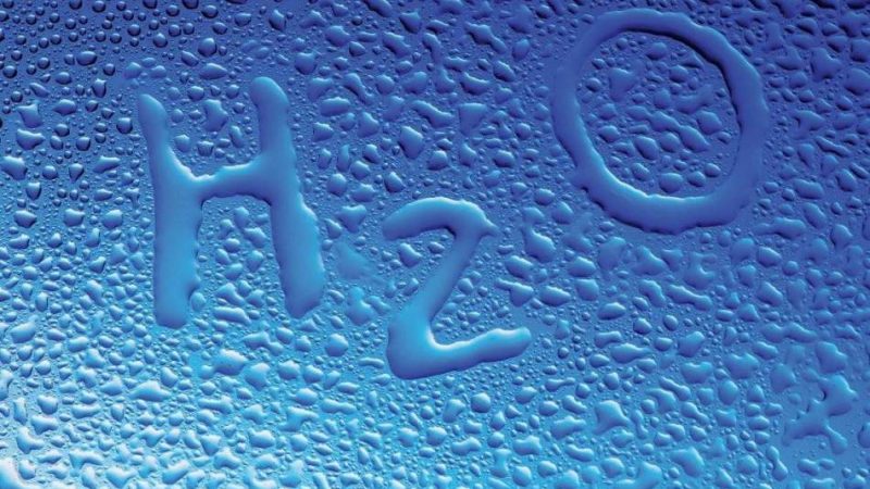 Яка роль води на нашій планеті, в житті планети: для рослин, тварин, людини