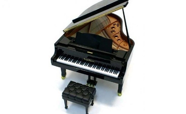 Який музичний інструмент самий маленький: топ-7, фото