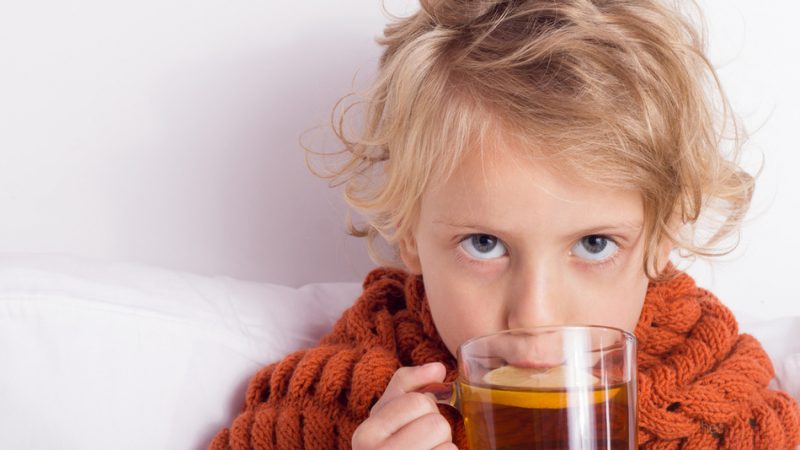 З якого віку можна давати дитині пити чай зелений, чорний, ромашковий, Іван чай, липовий, каркаде, імбирний, м'ятний, з шипшини?