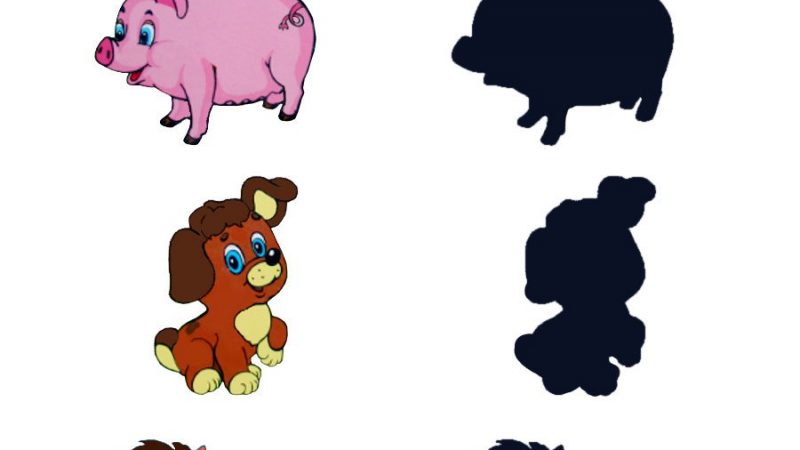 Заняття «Домашні тварини» для ясельної групи