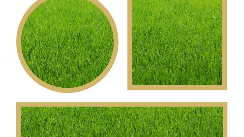 Заняття «Квіти» для 1-ої молодшої групи