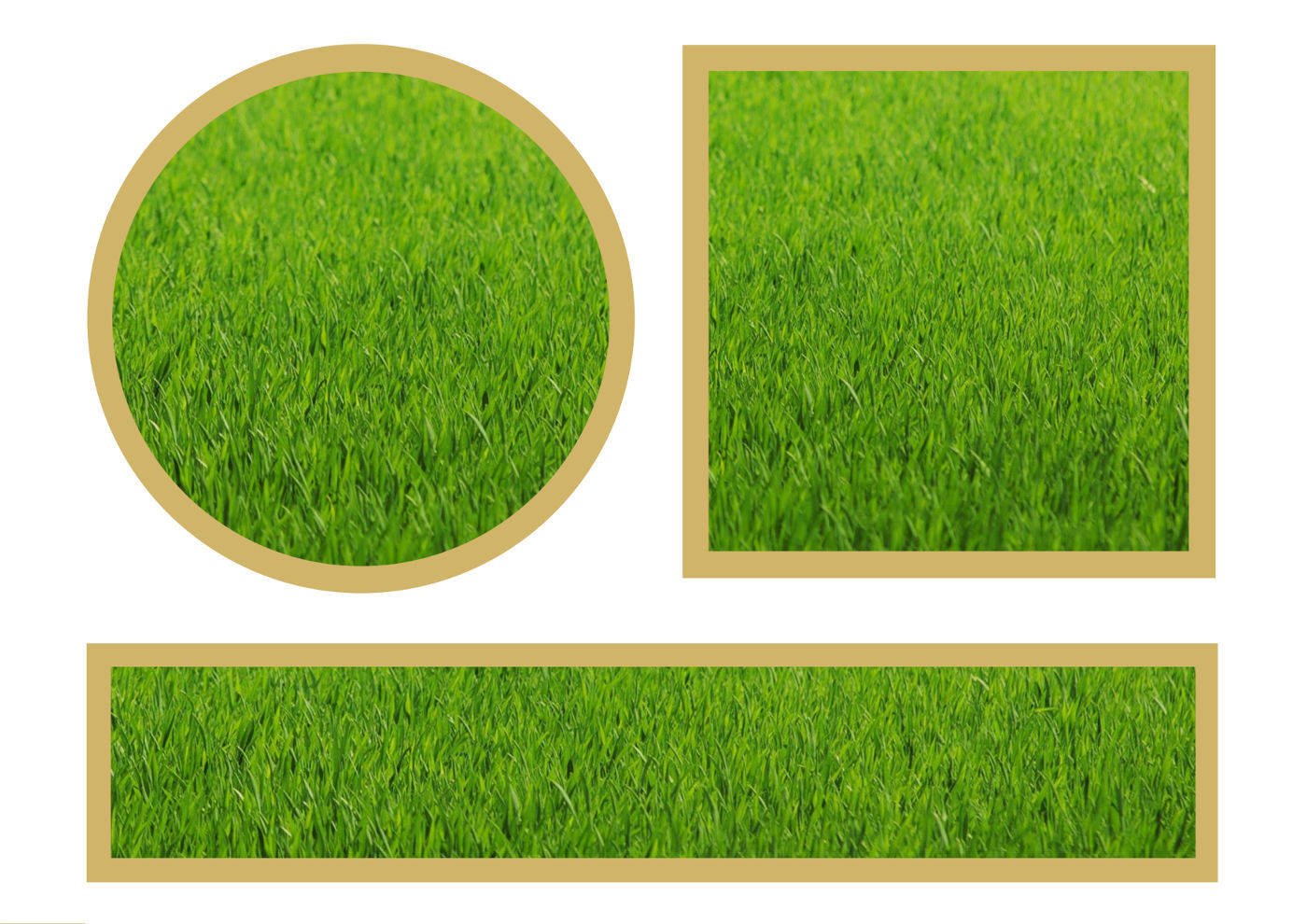 Заняття «Квіти» для 1-ої молодшої групи Заняття «Квіти» для 1-ої молодшої групи