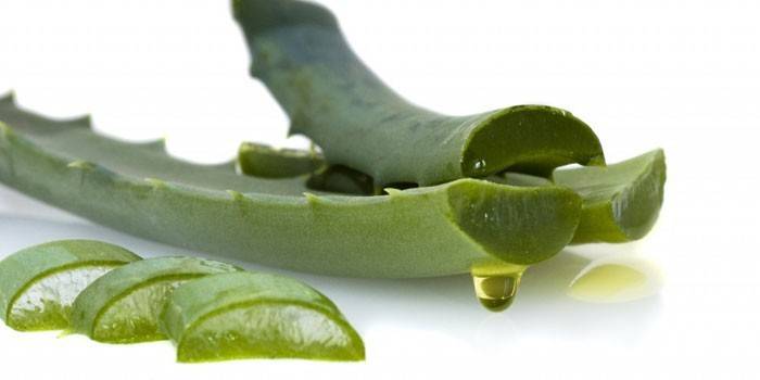 Застосування алое для лікування геморою