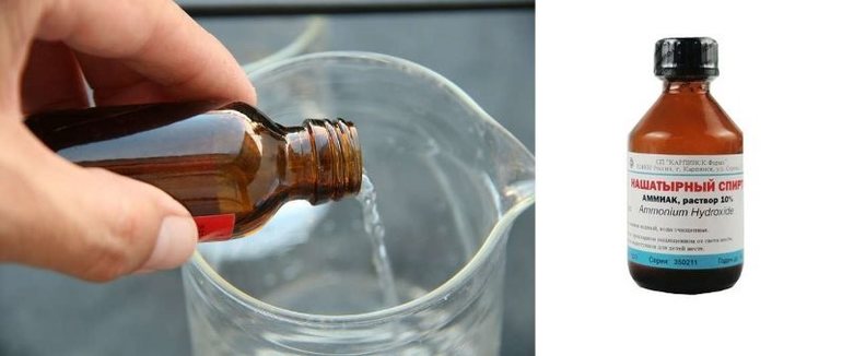 Зелёные пятна на штанах: чем вывести траву с одежды Зелёные пятна на штанах: чем вывести траву с одежды