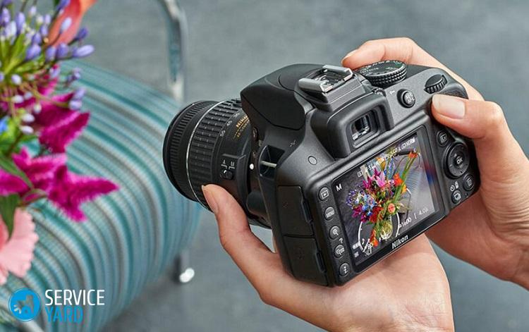 Зеркальный фотоаппарат для начинающих — как выбрать?