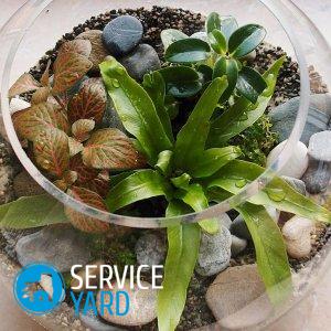 Живые цветы в стекле своими руками