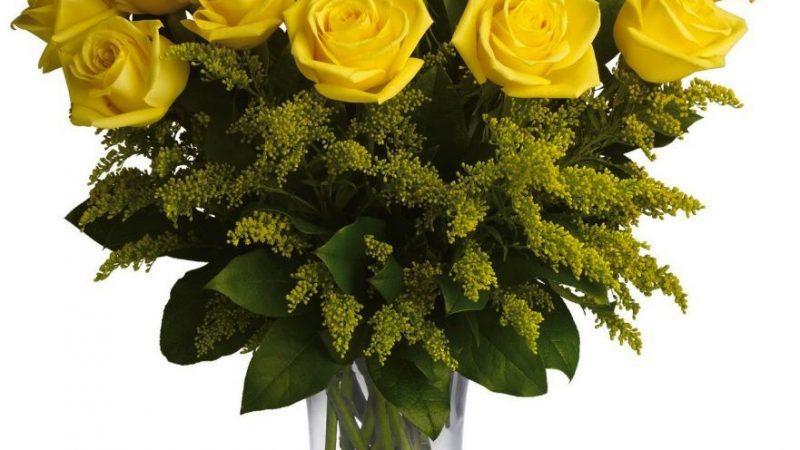 Жовті троянди: перекази, легенди, сучасне трактування — чи варто дарувати жовті троянди?